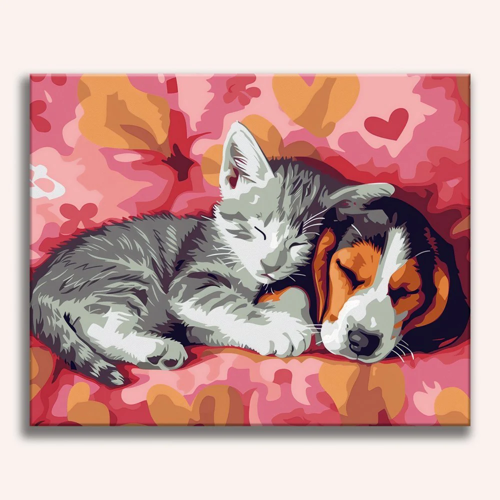 Dog and Cat