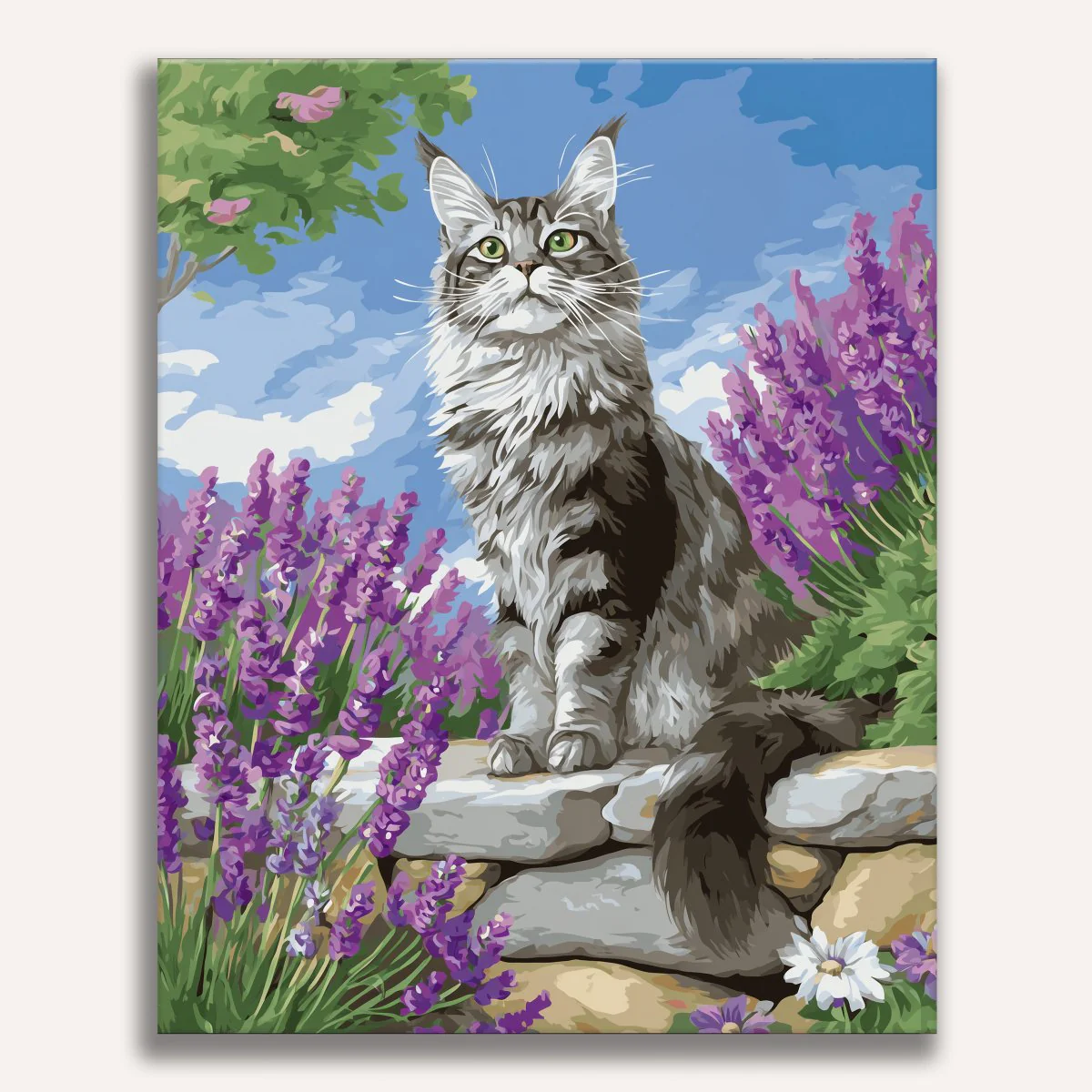 Lavender Lookout