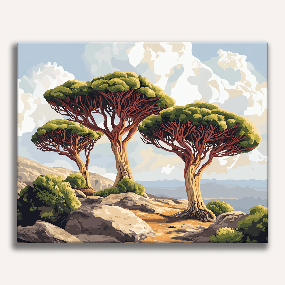 Socotra Island